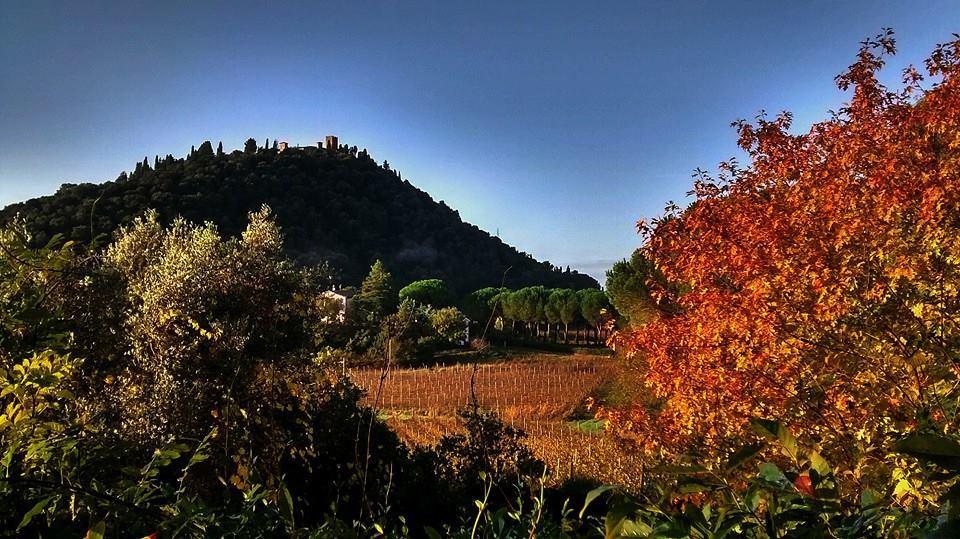 Podere L'Olmaia Marsiliana Kültér fotó
